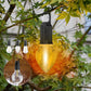✨Begrenztes Angebot ✨Outdoor Camping Hanging Typ-C Charging Retro Bulb Light ✈️ Kostenloser Versand