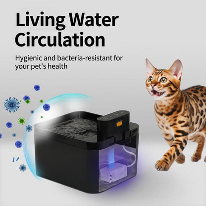 Intelligenter Katzen-Trinkbrunnen mit Bewegungssensor