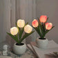 LED-Tulpen-Nachtlicht-Blumen-Tischlampe🌷✨ 2 Stück kaufen und versandkostenfrei erhalte