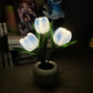 LED-Tulpen-Nachtlicht-Blumen-Tischlampe🌷✨ 2 Stück kaufen und versandkostenfrei erhalte