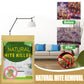 🔥 PROMO-BLITZ! 🔥 Natur-Säckchen gegen Milben – Kaufe 2, Erhalte 1 Gratis! 🌿🛏️