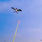 🎣🪁Innovative Angelruten-Drachen✨✨Einfach steuern, endloser Outdoor-Spaß für Kinder!