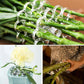 DIY-Blumenarrangement-Halter-Set
