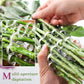 DIY-Blumenarrangement-Halter-Set