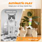 Automatisches, einziehbares Spielzeug für Katze